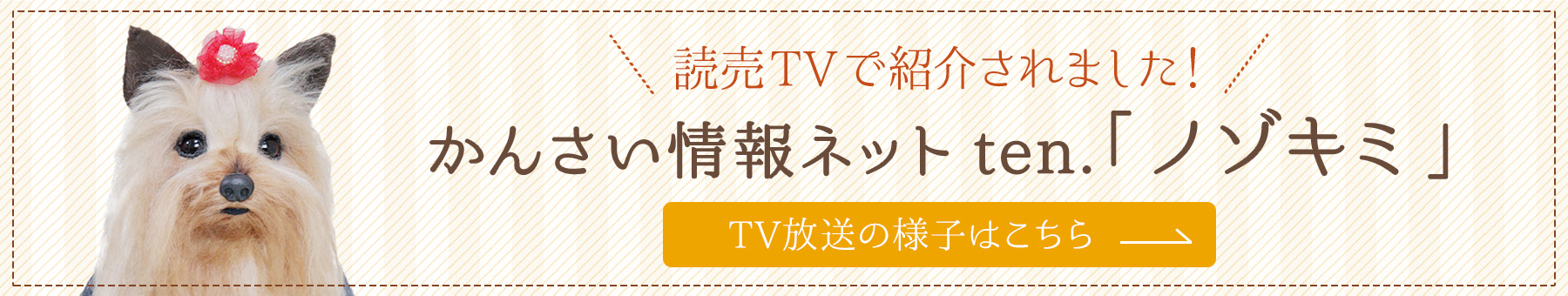 かんさい情報ネットten「ノゾキミ」