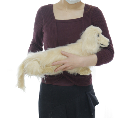 ペキニーズ#dog#pekingese #わんちゃん#ペットグッズ#推しぬい