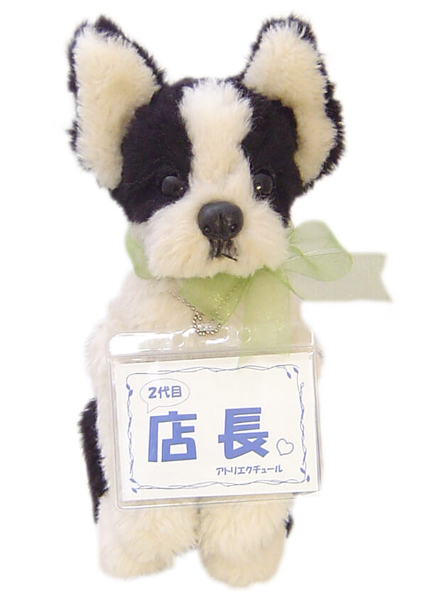 愛ページ　ぬいぐるみオーダー オーダーペットのぬいぐるみ リアルな犬猫ぬいぐるみ 等身大の