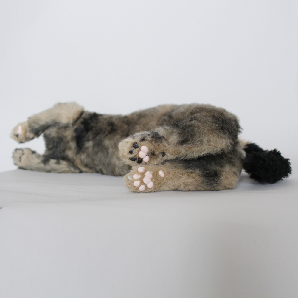 160817haiji - 【公式】ぬいぐるみのオーダーメイド。ペット愛犬猫写真 