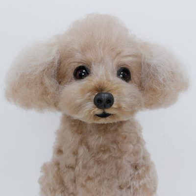 トイプードル　ぬいぐるみ