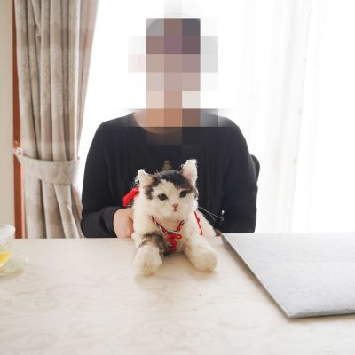 猫のリアルオーダーぬいぐるみ