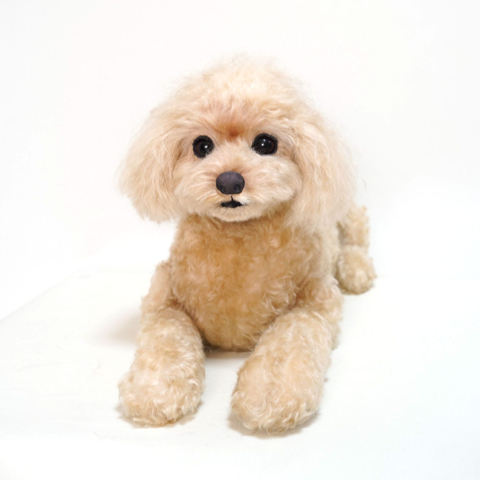 トイプードル　愛犬オーダー　 ぬいぐるみ4