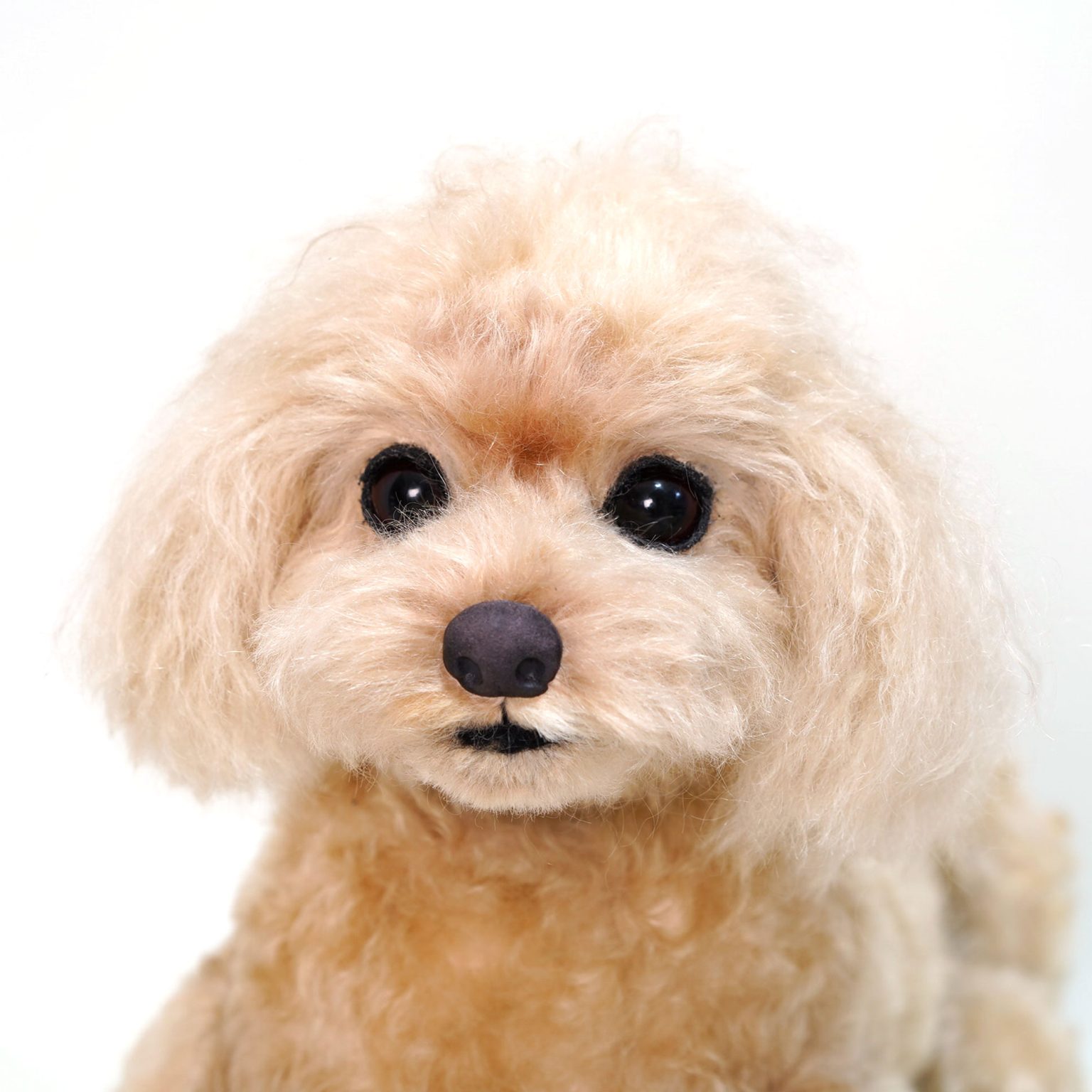 トイプードル　愛犬オーダー　 ぬいぐるみ3