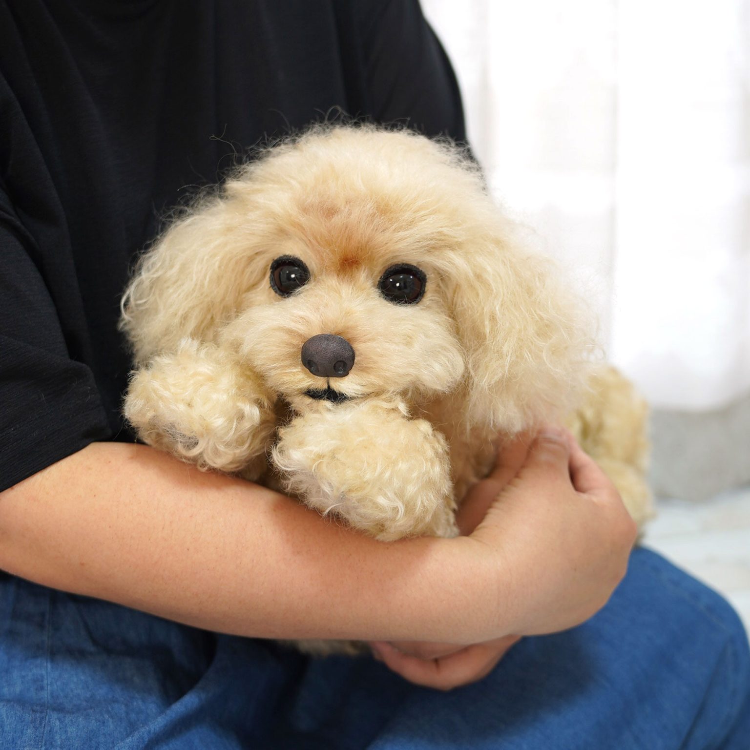 トイプードル　愛犬オーダー　 ぬいぐるみ2