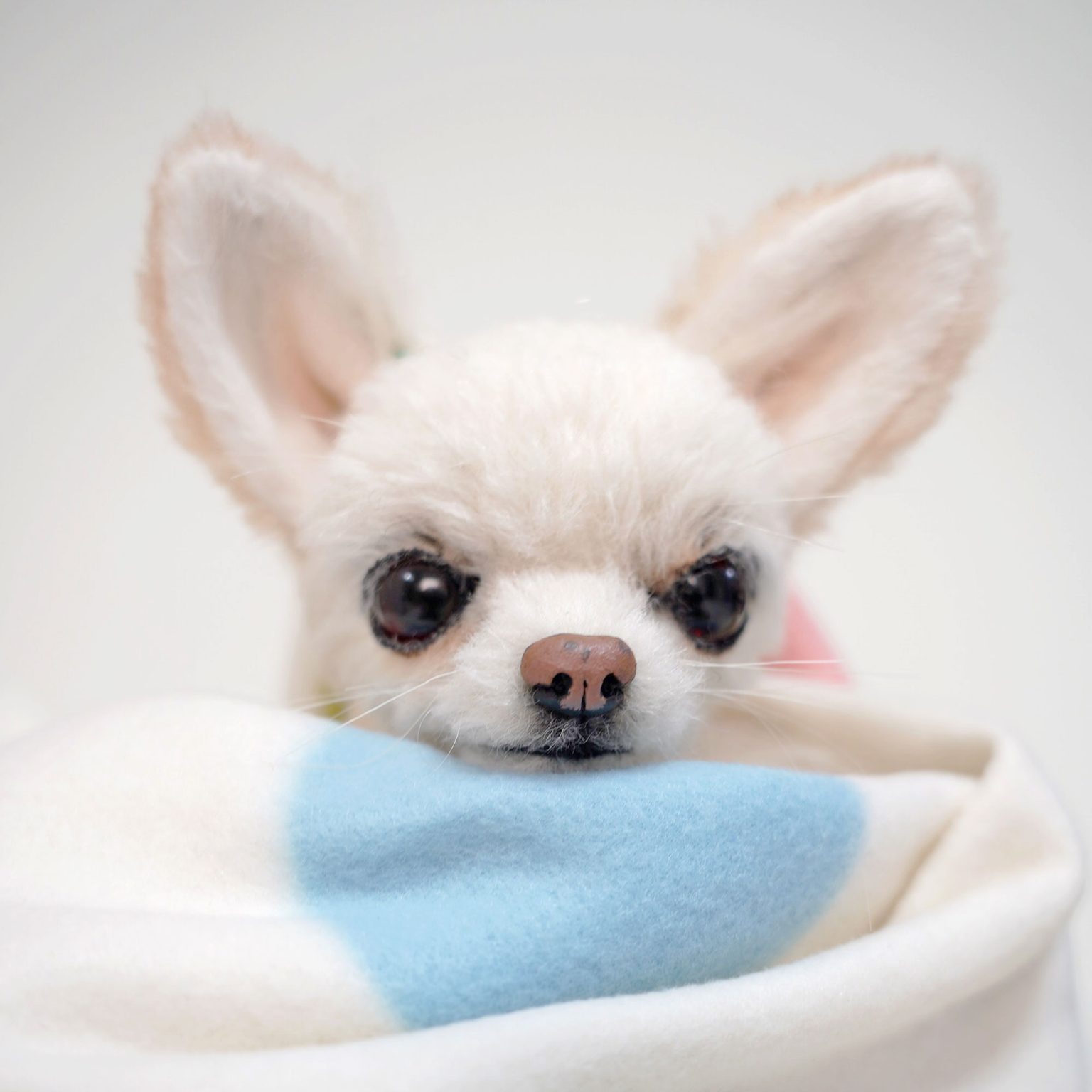 チワワ　愛犬オーダー　 ぬいぐるみ4