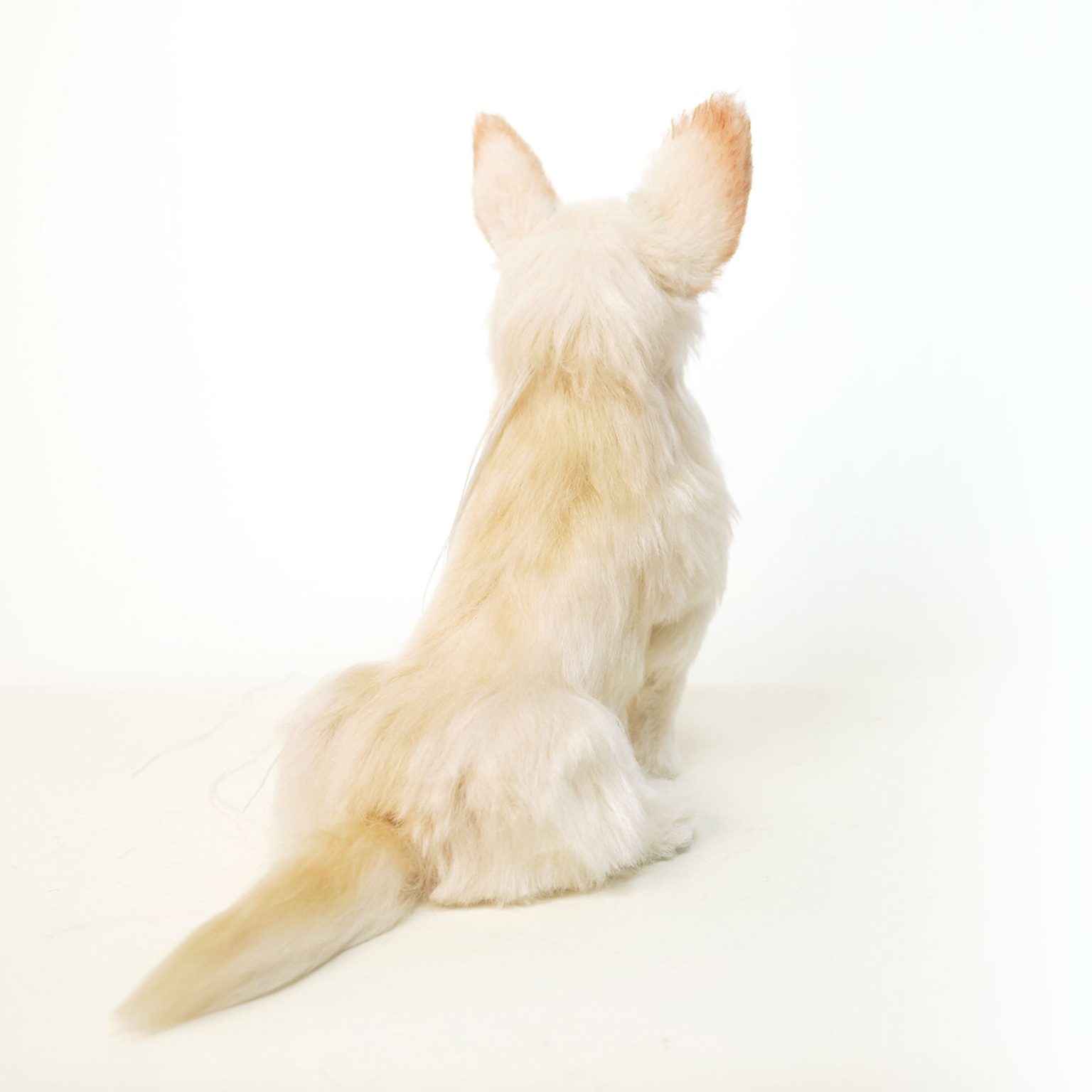 チワワ　愛犬オーダー　 ぬいぐるみ1