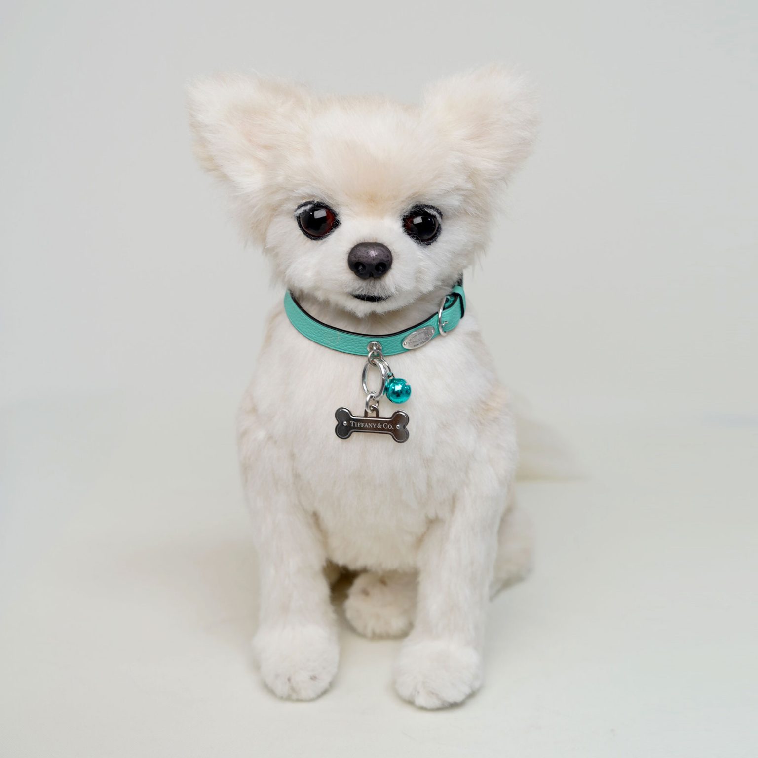 チワワ　愛犬オーダー　 ぬいぐるみ4