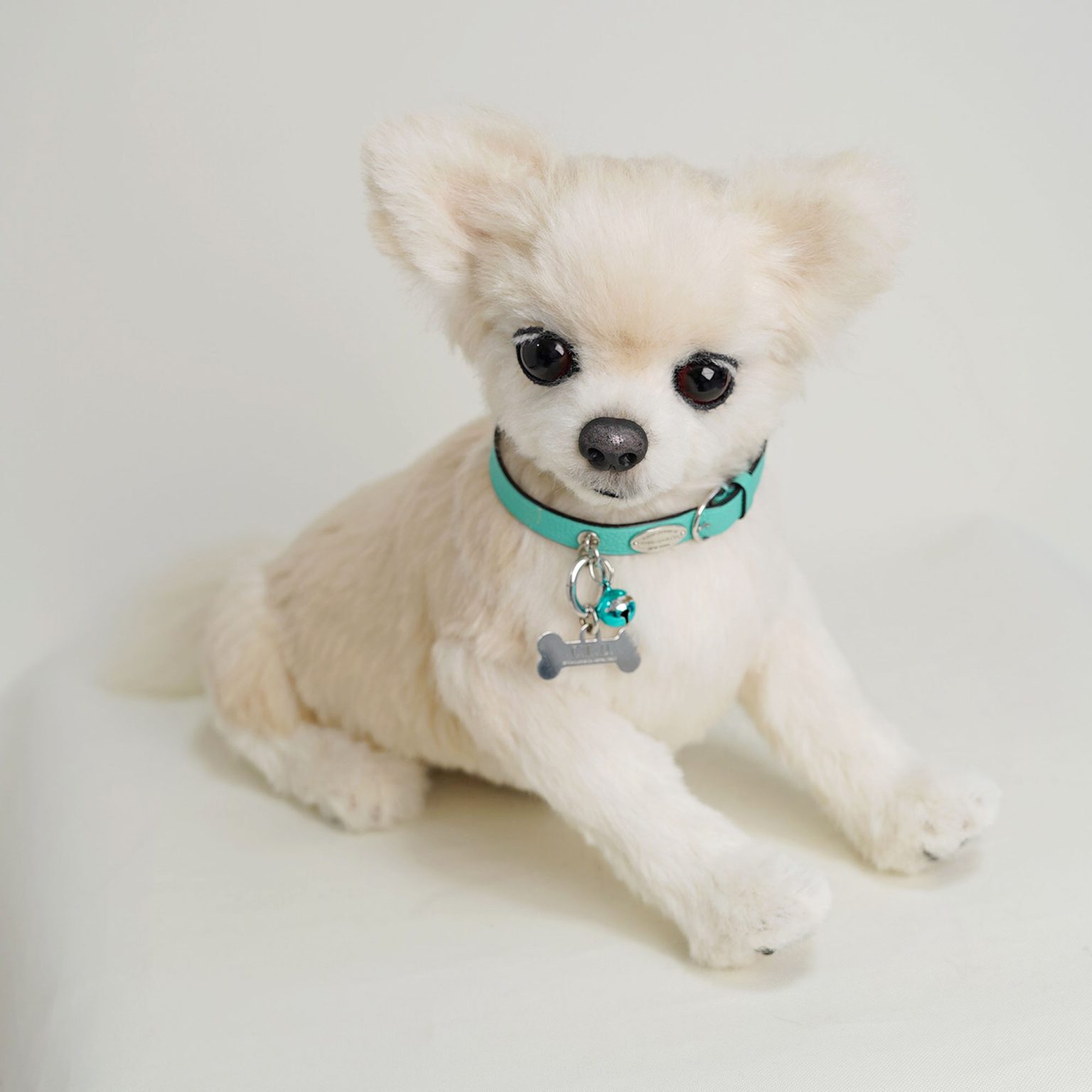 チワワ　愛犬オーダー　 ぬいぐるみ2