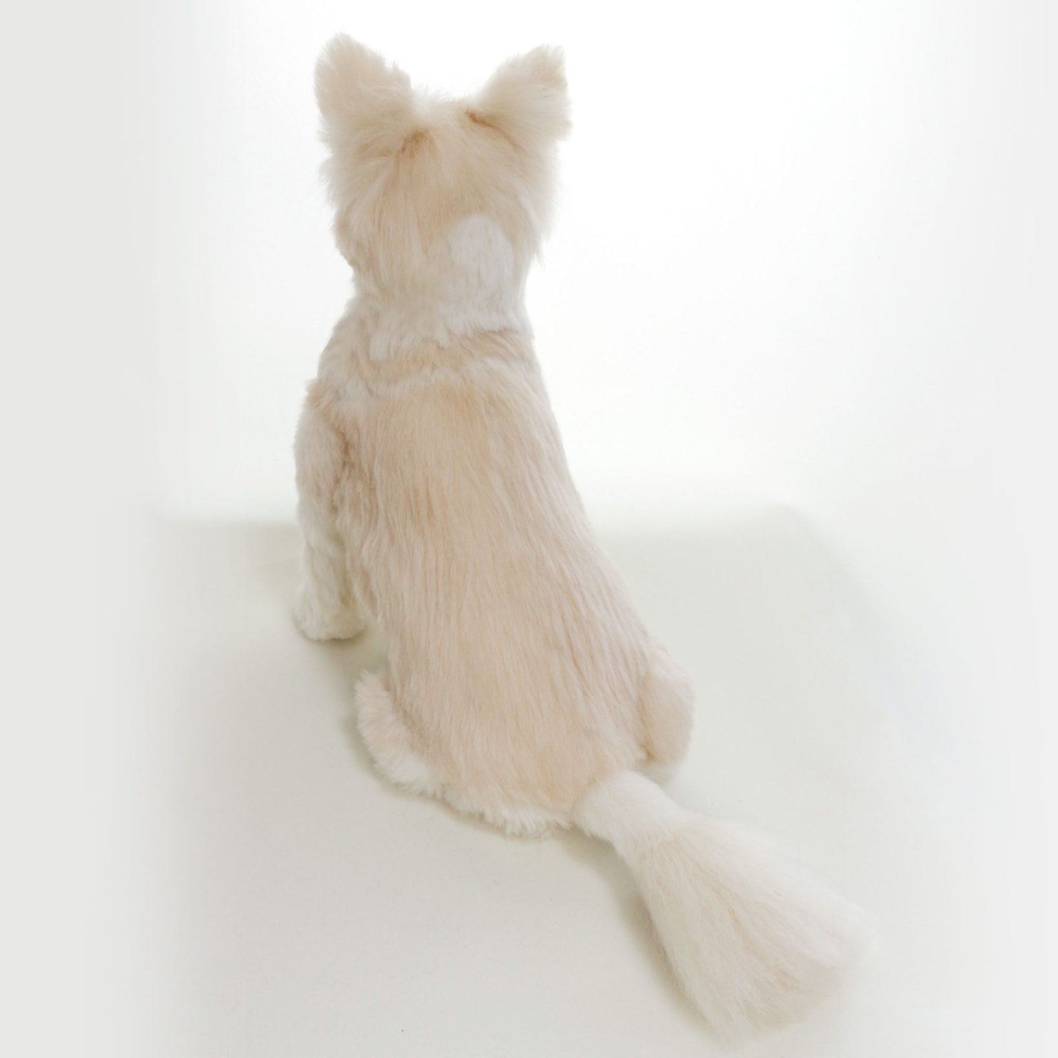 チワワ　愛犬オーダー　 ぬいぐるみ1
