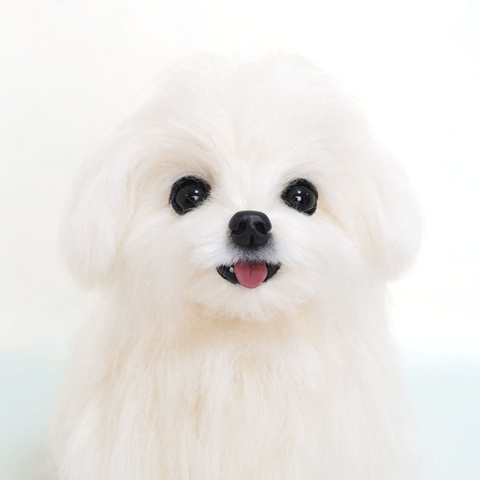 マルチーズ　愛犬オーダー　 ぬいぐるみ3