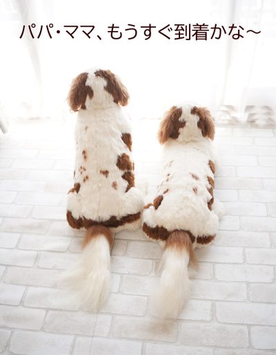 キャバリアのぬいぐるみ