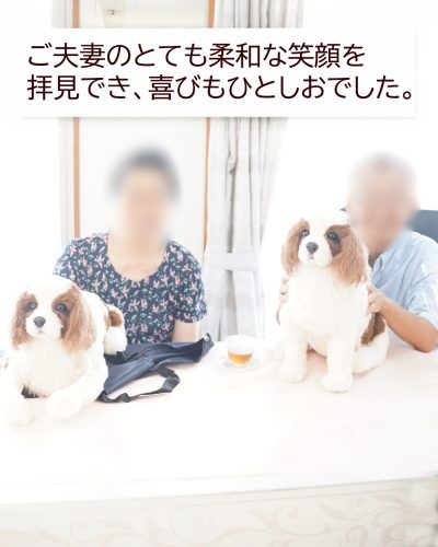 キャバリアのぬいぐるみ3